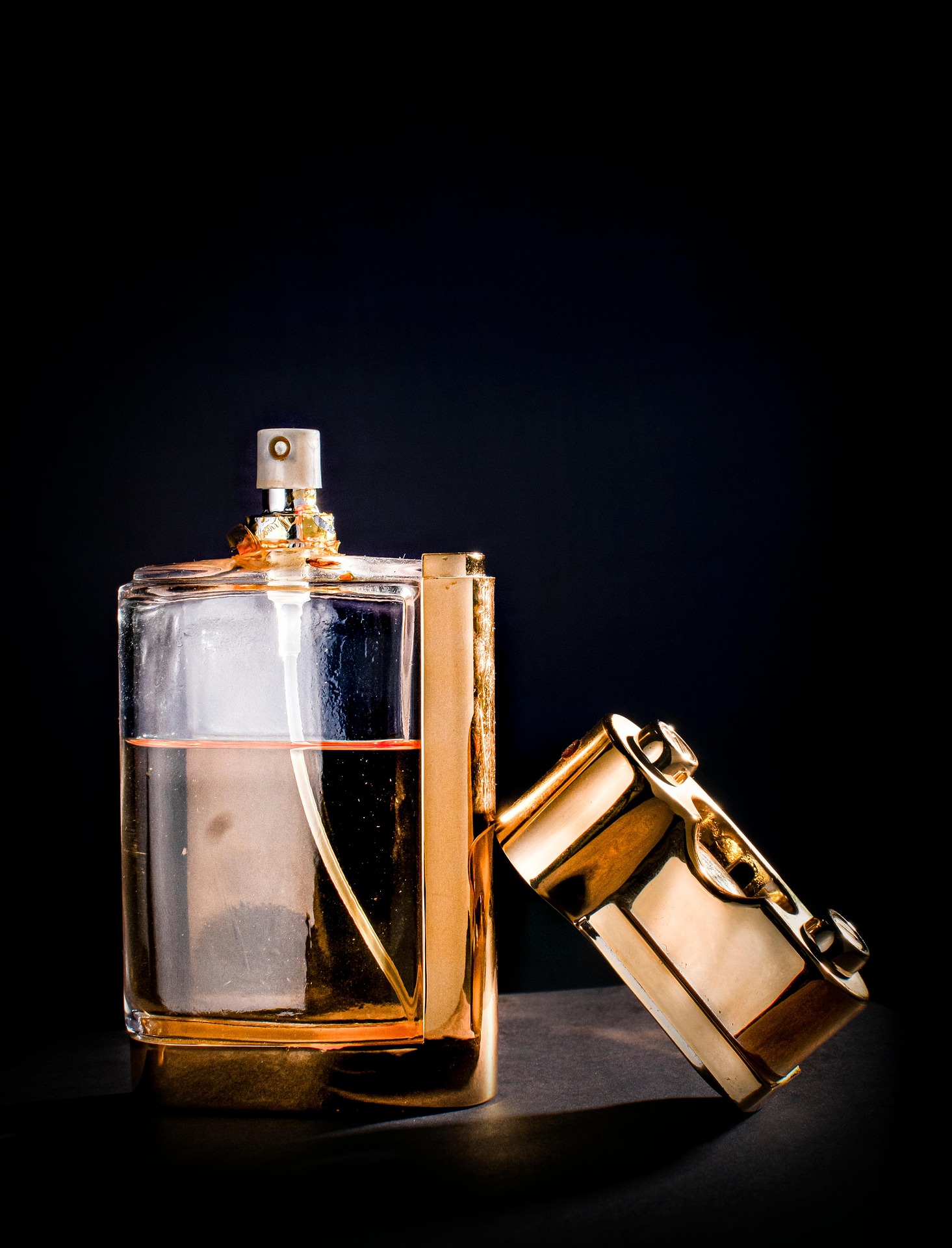 Everyday Elegance Collection